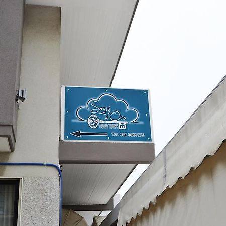 Sogni D'Oro - Guest House Pineto Exterior foto